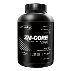 ZM-CORE